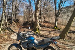 Kawasaki KLE 500