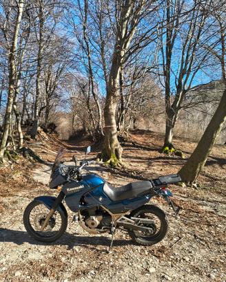 Kawasaki KLE 500