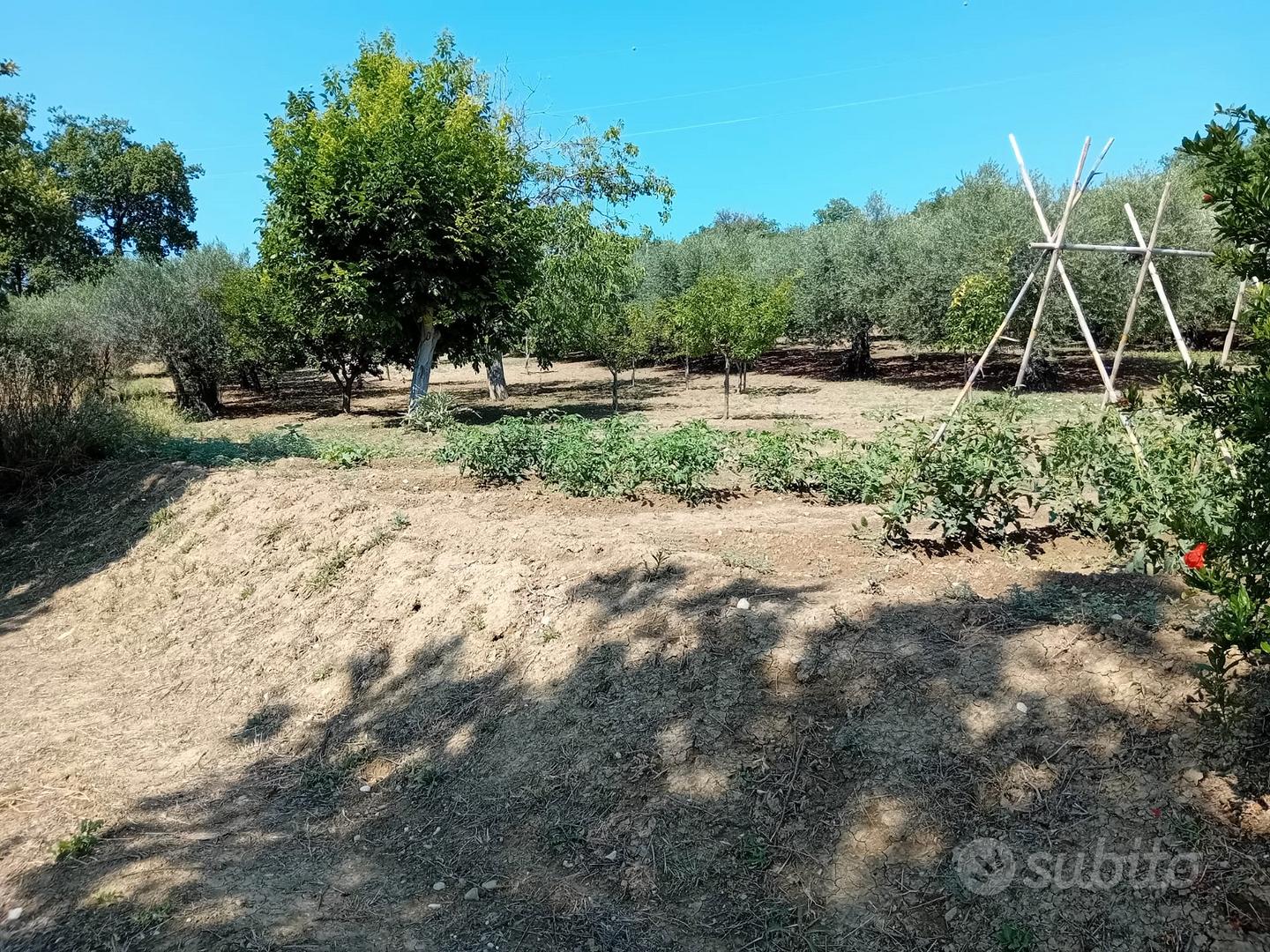 Terreno agricolo Alanno 4500mq - Vista 5