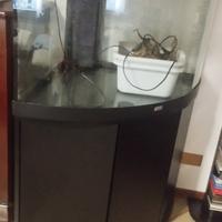 Acquario juwel