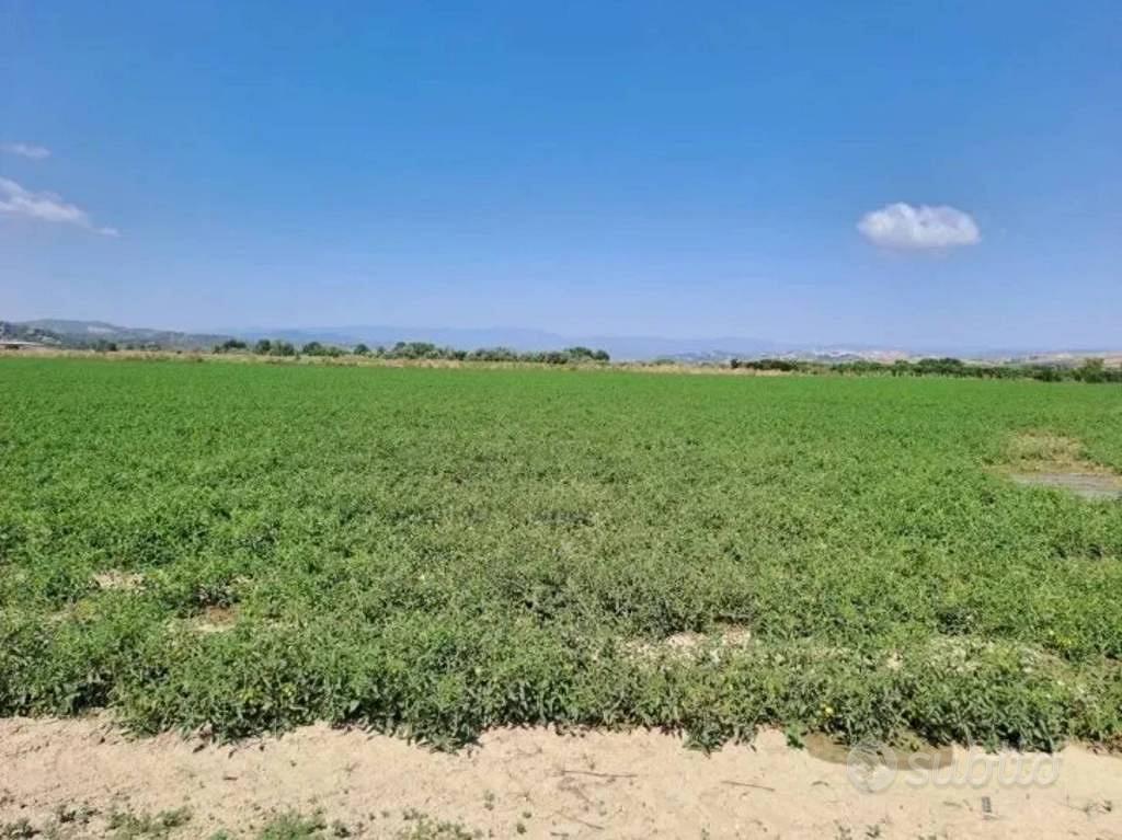 Immobile in asta di 35400 m² a Crotone - Vista 4