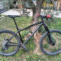 Bici Mountain Bike MTB
