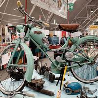 Aquilotto Bianchi Azalea 