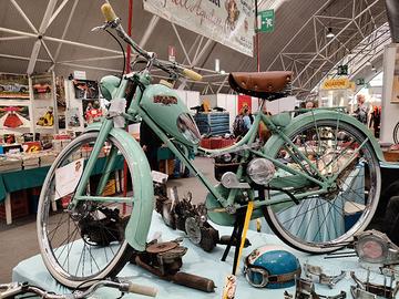 Aquilotto Bianchi Azalea 