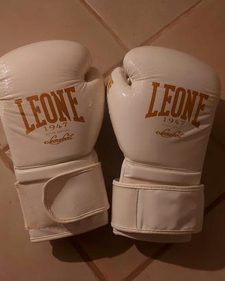 Guanti da Box "Leone"