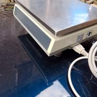 bilancia elettronica 