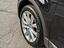 Immagine 7
