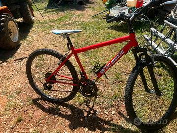 Bicicletta