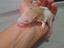 Immagine 6