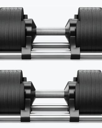 manubri King's gym  4/32kg