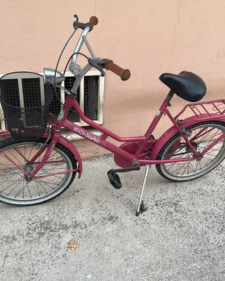 Bicicletta  20 pollici