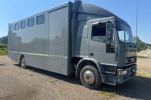 Iveco Trasporto Cavalli 8 posti più Selleria