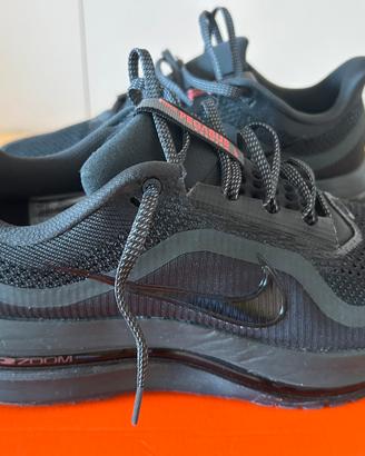 Nike pegasus premium