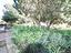 Immagine 17
