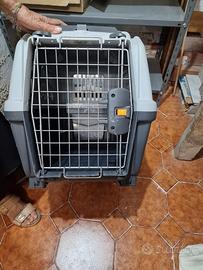 trasportino animali