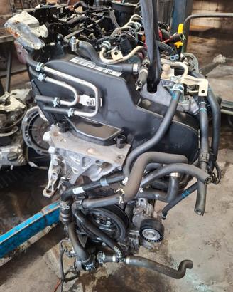 MOTORE VOLKS/ AUDI/ SEAT 1.4 diesel (usato)