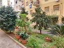 appartamento-roma-cod-rif-3183057vrg-