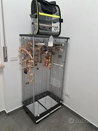 Voliera