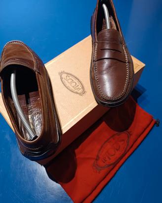 scarpa Tod's