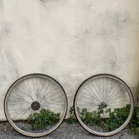 Cerchi FIAMME  26’ + copertoni SCWALBE