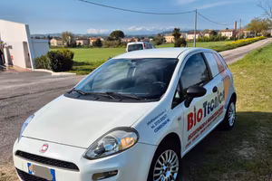 Fiat Grande Punto Van