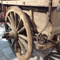 Barroccio marchigiano