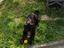 Immagine 1