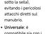 Immagine 5