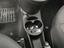 Immagine 13
