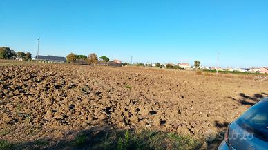 Terreno Agricolo Bellaria-Igea Marina
