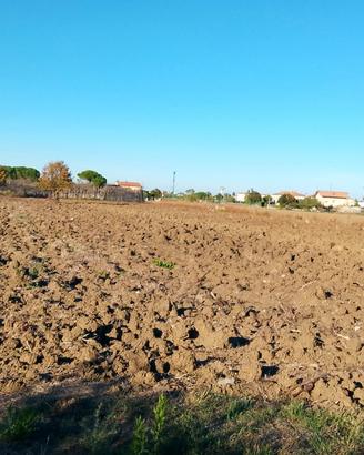 Terreno Agricolo Bellaria-Igea Marina