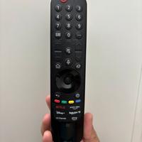 LG AN-MR23 Magic Remote