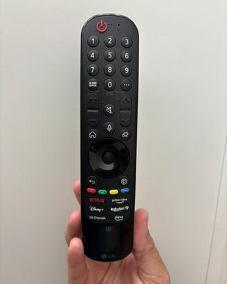 LG AN-MR23 Magic Remote