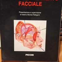 Chirurgia estetica  invecchiamento facciale G. Bot