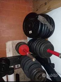 Dischi pesi palestra e altro
