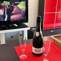 Appartamento in Villa arredato moderno funzionale