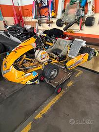 Tk kart 2024