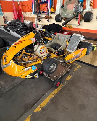 Tk kart 2024