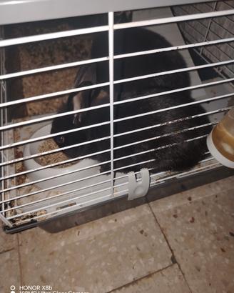 tolgo per trasferimento 