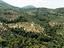 Immagine 10