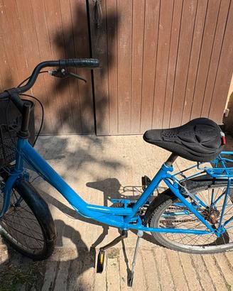 Bicicletta