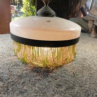 lampadario con saliscendi 