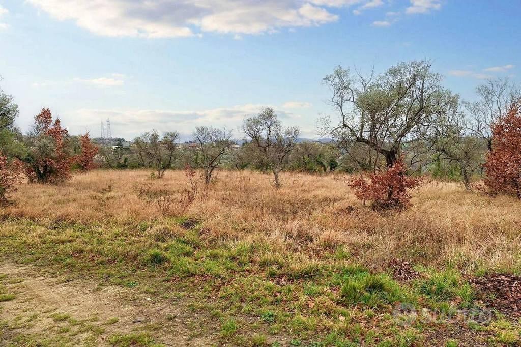 Immobile in asta di 25990 m² a Montefalco - Vista 5