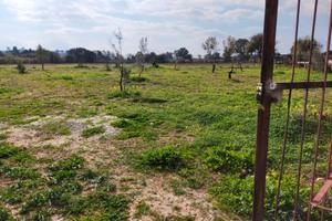 Terreno agricolo recintato 2300 MQ