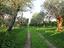 Immagine 20