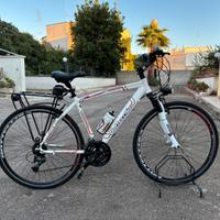 Bicicletta Bottecchia litecross