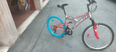 bicicletta 