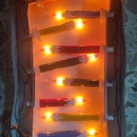 luci natale pisellino