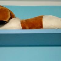 3 mensole color azzurro + ganci