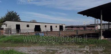 Rustico/Casale/Corte Arena Po [A4348716]